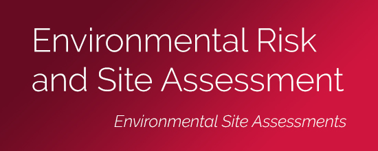 Environmental Risk and Site Assessment